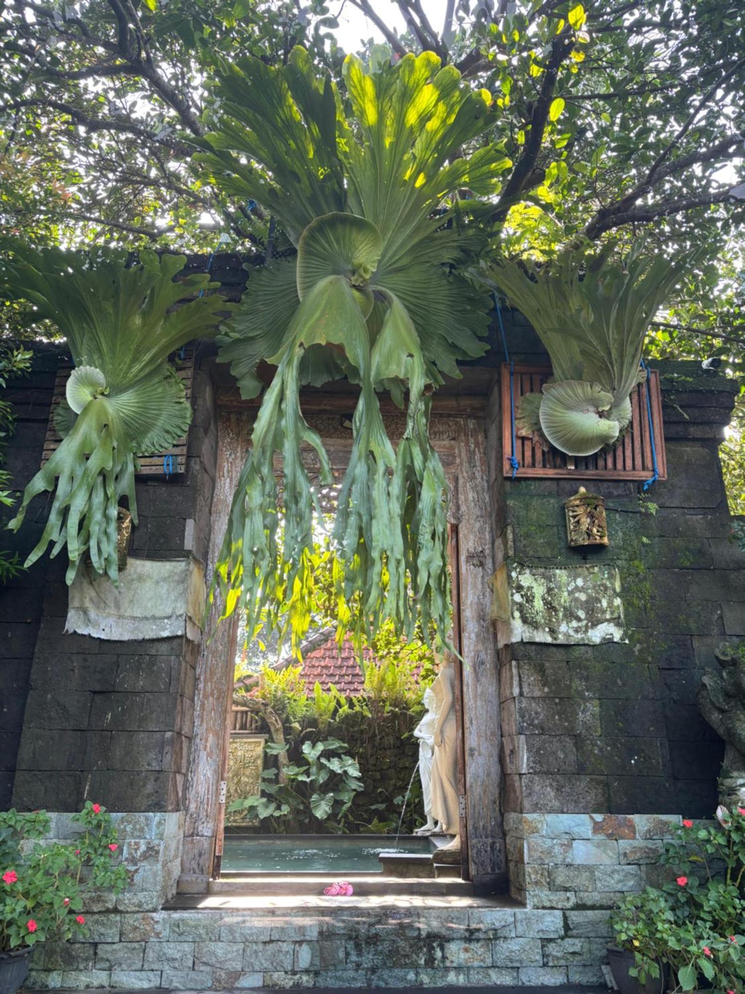 Bumbung Sari Villa Ubud  Ngoại thất bức ảnh