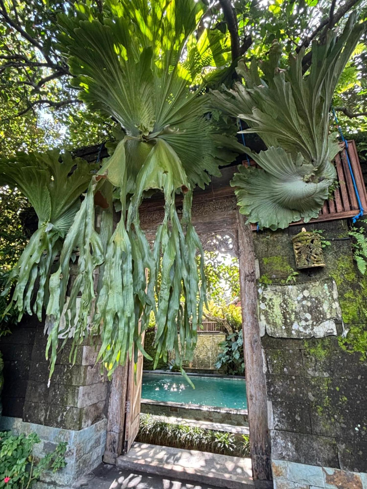 Bumbung Sari Villa Ubud  Ngoại thất bức ảnh